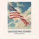 Patriotic 2001 United We Stand Brass Zippo Lighter | Zippo Lighters: Iconic Windproof Lighters, History & Collectibles