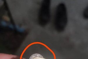 Zippo Flint: What Does It Look Like? Zippo Lighters: Iconic Windproof Lighters, History & Collectibles Zippo Flint: What Does It Look Like? | Zippo Lighters: Iconic Windproof Lighters, History & Collectibles