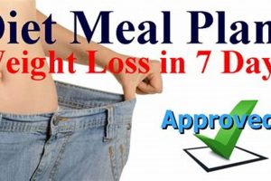 Custom Zippo for Weight Loss Journey |