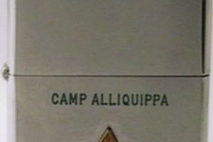 Vintage Boy Scout Zippo Cases: A Collector's Guide |