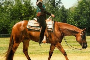 Vintage Zippo Pine Bar Lighters: A Collector's Guide |