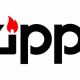 Custom Zippo Logo Design: Create Your Unique Lighter |