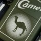 Vintage 1996 Camel Zippo Lighters: A Collector's Guide |