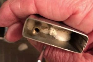 Custom Zippo Lighter Repair & Restoration |