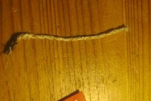 Zippo Wick Maintenance: Tips & Tricks |